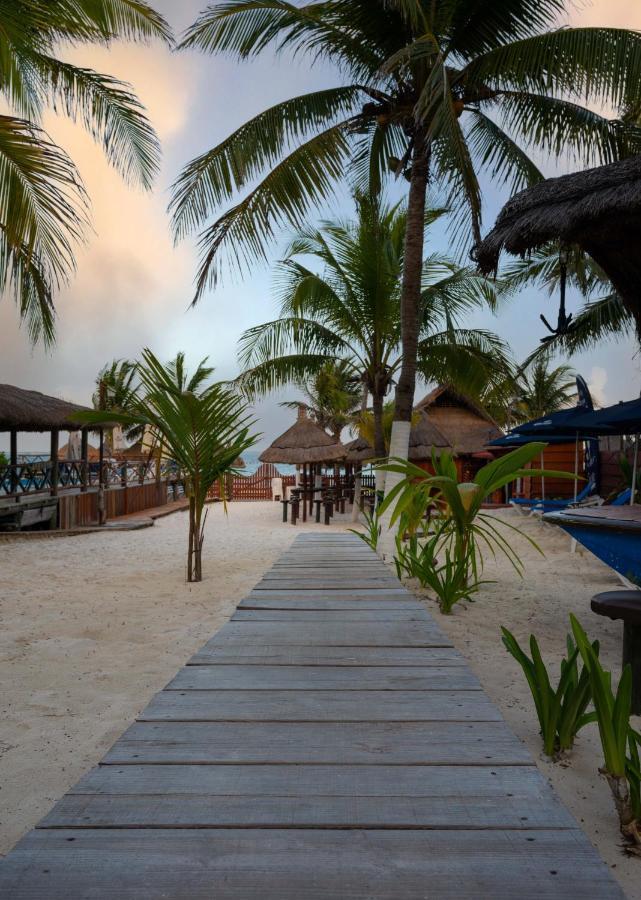 The Diving Lodge Downtown Puerto Morelos Dış mekan fotoğraf
