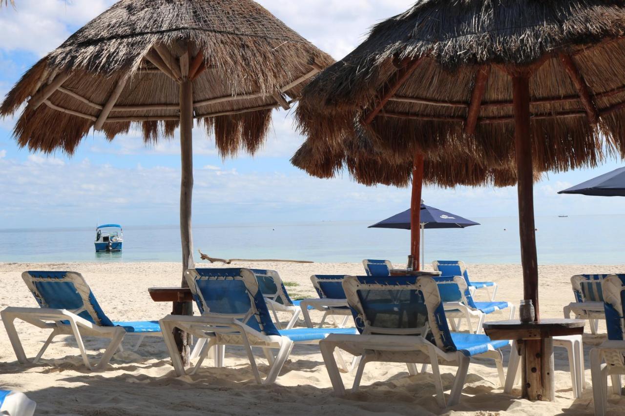The Diving Lodge Downtown Puerto Morelos Dış mekan fotoğraf