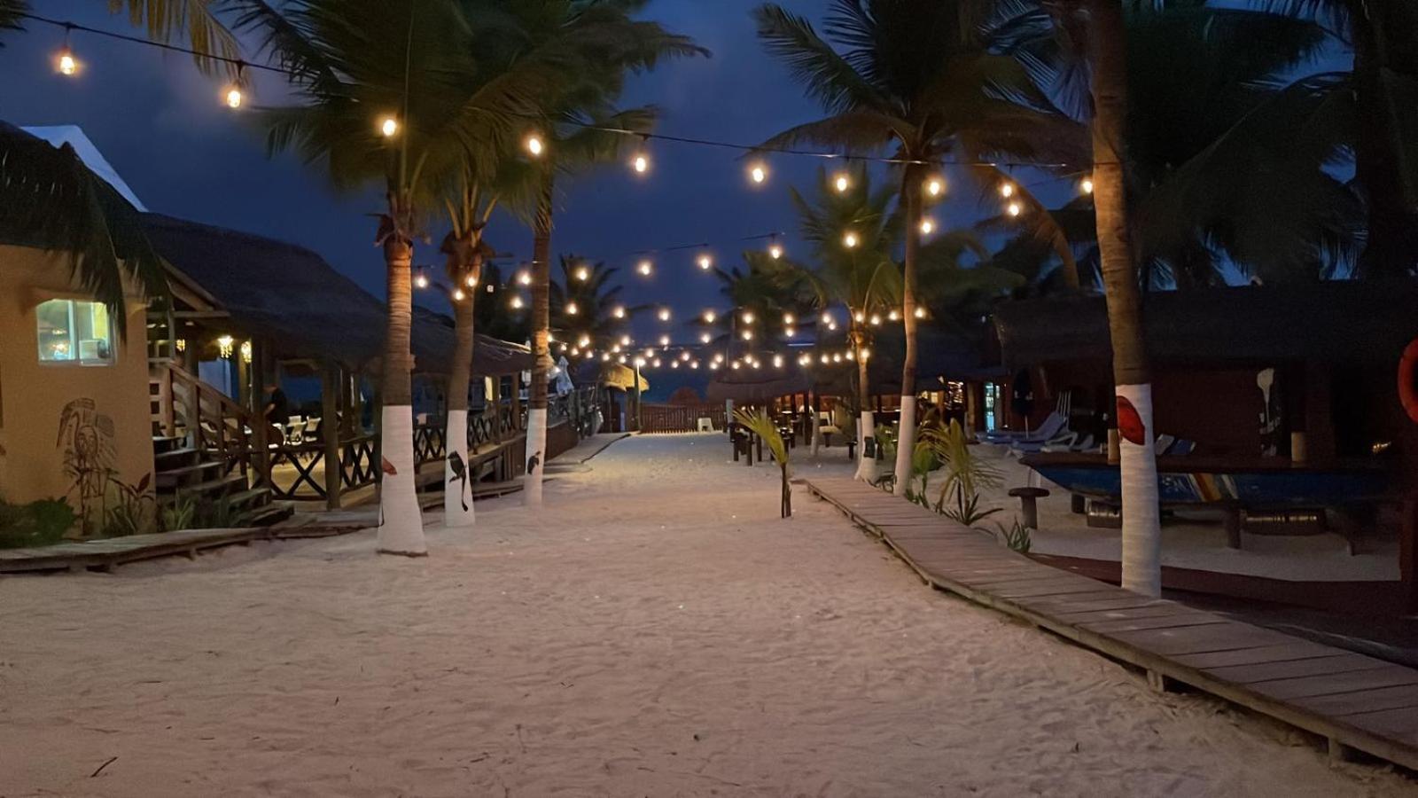 The Diving Lodge Downtown Puerto Morelos Dış mekan fotoğraf